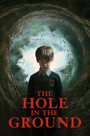 Kuyu / The Hole in the Ground izle