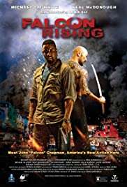 Falcon Rising izle